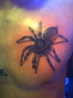 /album/insane-clica-tattoo-art/photo0444-jpg/